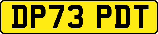 DP73PDT