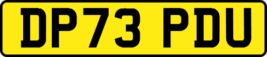 DP73PDU