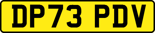 DP73PDV