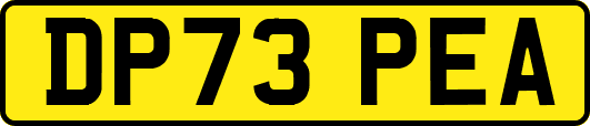 DP73PEA