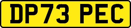 DP73PEC