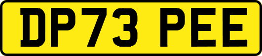 DP73PEE