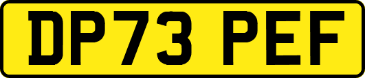 DP73PEF