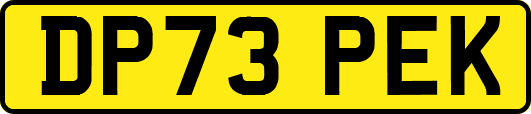 DP73PEK