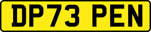DP73PEN