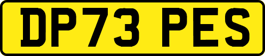 DP73PES