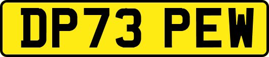 DP73PEW