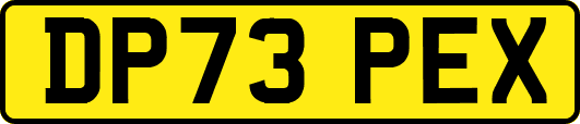 DP73PEX
