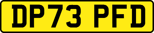 DP73PFD