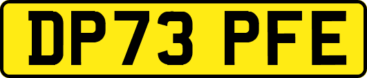 DP73PFE