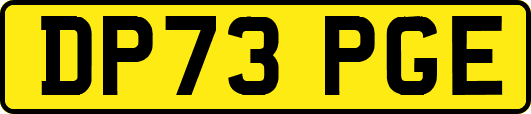 DP73PGE