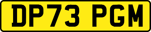 DP73PGM