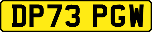 DP73PGW