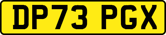 DP73PGX