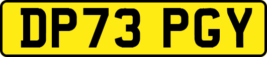 DP73PGY