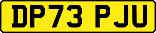 DP73PJU
