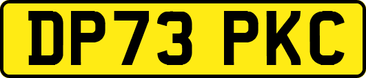 DP73PKC