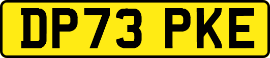 DP73PKE