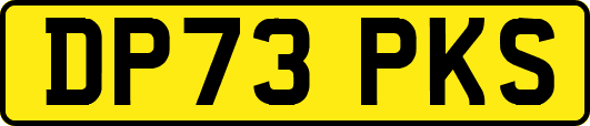 DP73PKS