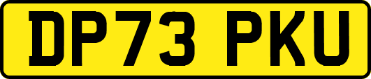 DP73PKU