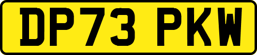 DP73PKW