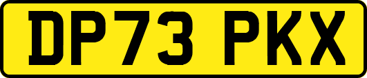 DP73PKX