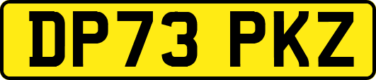 DP73PKZ