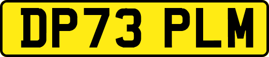 DP73PLM