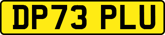 DP73PLU