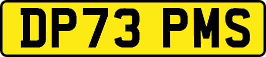 DP73PMS