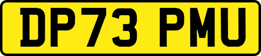 DP73PMU