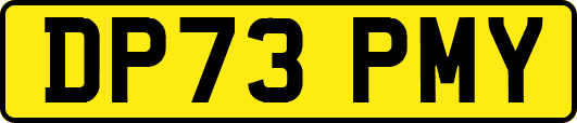 DP73PMY