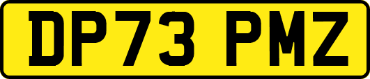 DP73PMZ