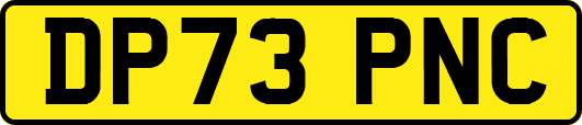 DP73PNC