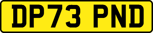 DP73PND