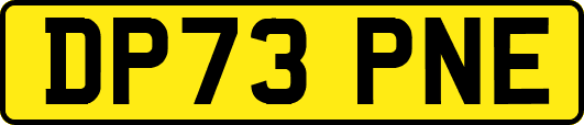 DP73PNE