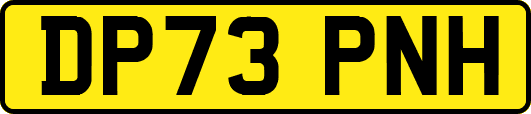 DP73PNH