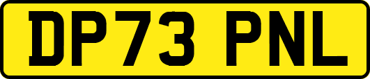 DP73PNL