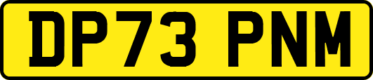 DP73PNM