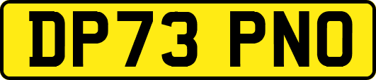 DP73PNO