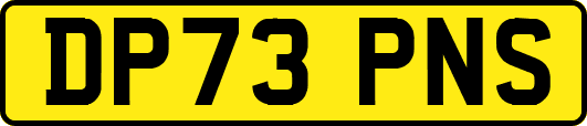 DP73PNS
