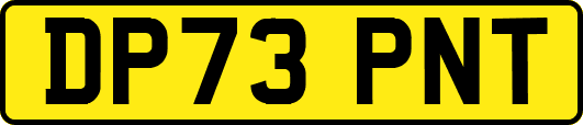 DP73PNT