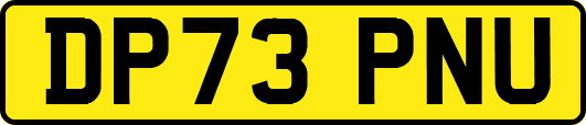DP73PNU