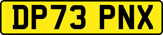 DP73PNX