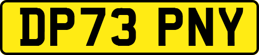 DP73PNY
