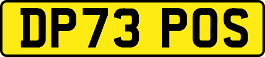 DP73POS