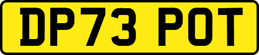 DP73POT