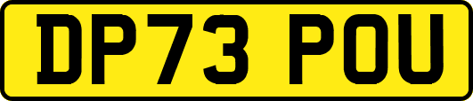 DP73POU