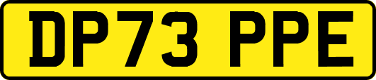 DP73PPE