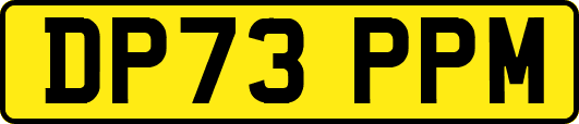 DP73PPM